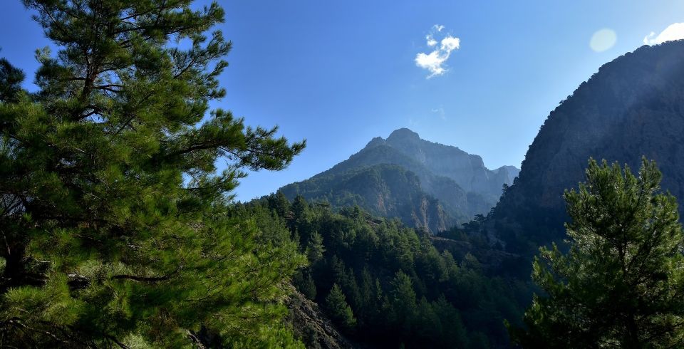 Samariá Gorge Hike: Day Excursion from Chania - Price breakdown: is it good value for the full day?