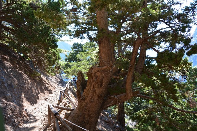 Samaria Gorge Hike - Getting there: Rethymno-area pickup and a 12–15 hour schedule