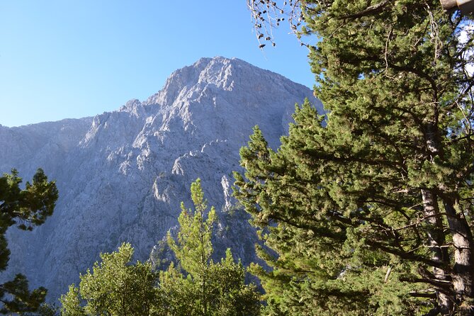Samaria Gorge Hiking Tour from Chania with Professional Guide - Sougia Beach End-Note: A Laid-Back South Coast Finish