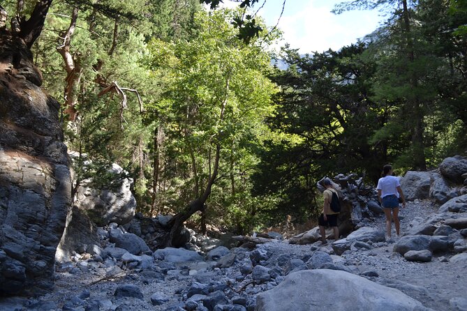 Samaria Gorge Hiking Tour from Chania with Professional Guide - Price and Logistics: What You Actually Pay
