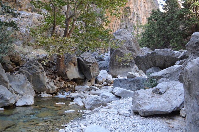 Samaria Gorge Hiking Tour from Chania with Professional Guide - What to Pack for a Long Downhill (Shoes, Poles, Chafe Care)