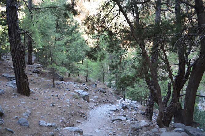 Samaria Gorge Hiking Tour from Chania with Professional Guide - Should I Book This Samaria Gorge Hiking Tour?