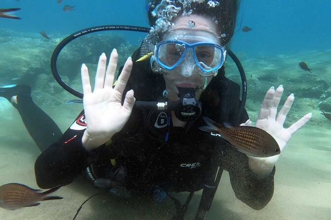 Scuba Diving for Beginners with a PADI Instructor near Heraklion - The Facility Setup: Gear Basics, Safety, and a 20-Minute Video
