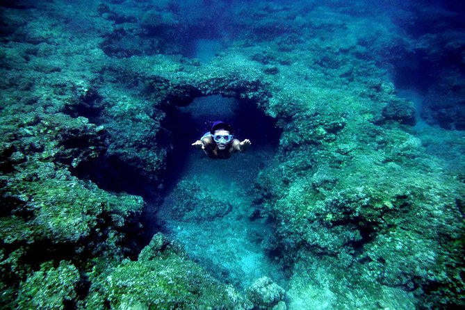 Sea Kayak & Snorkel tours in West Crete - What animals and underwater sights you can realistically expect