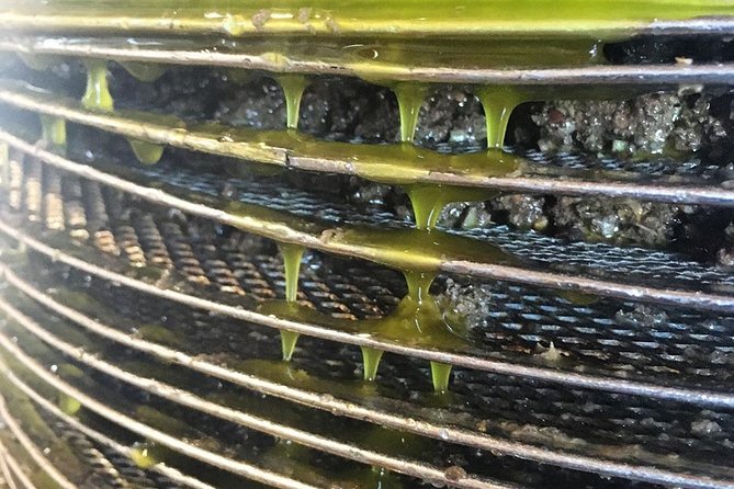Semi Private Wine and Olive Oil tour (Transfer & Lunch Incl.) - How to get the most from each stop (and avoid a wobbly day)