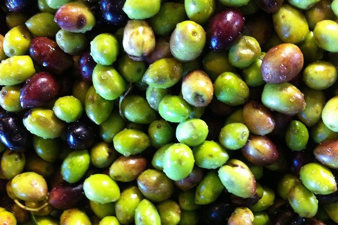 Semi Private Wine and Olive Oil tour (Transfer & Lunch Incl.) - Watch-outs: where this tour can differ from your ideal plan