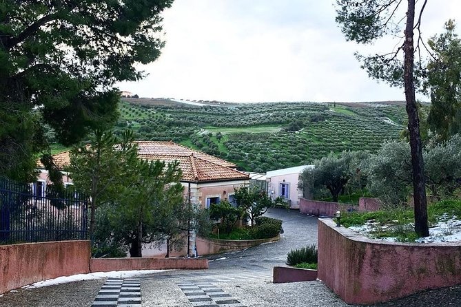 Semi Private Wine and Olive Oil tour (Transfer & Lunch Incl.) - Peza winery choice: Lyrarakis, Titakis, or Stylianou