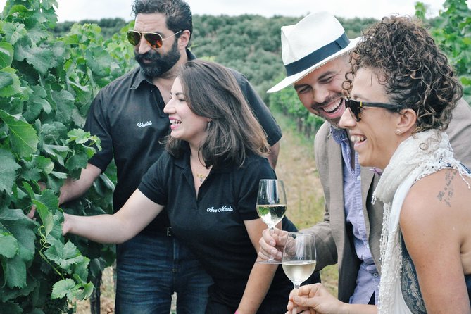 Semi-Private Wine Discovery Tour in Chania - Key Highlights Worth Marking