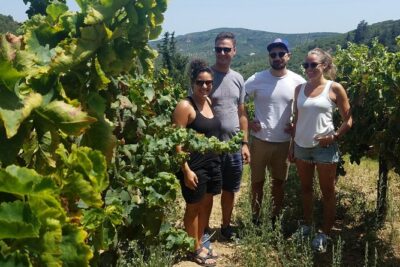 Semi-Private Wine Discovery Tour in Chania - Meet at Platia Markopoulou, Then Ride Into the Cretan Hills