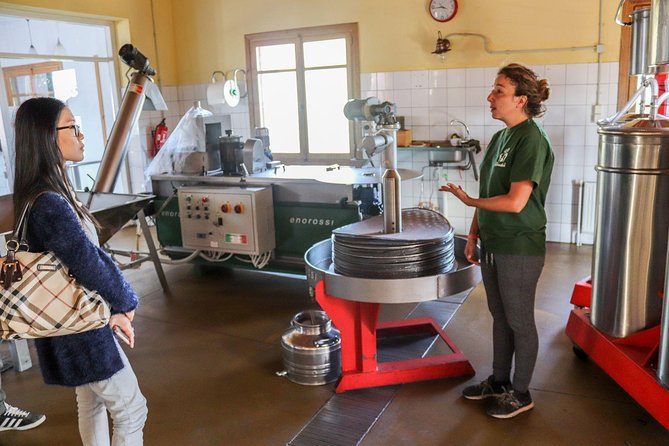 Semi Private Wine, Olive Oil, and Terroir Tour of Heraklion area with Tastings - Key things to know before you go