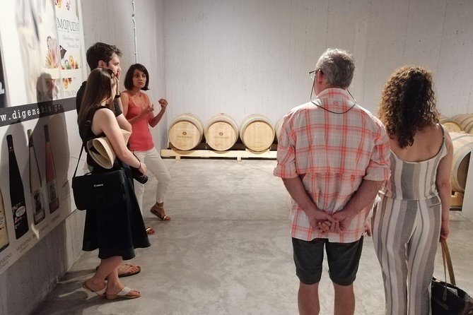 Semi Private Wine, Olive Oil, and Terroir Tour of Heraklion area with Tastings - The big idea: tasting Cretan terroir, not just sampling wine