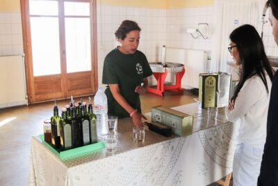 Semi Private Wine, Olive Oil, and Terroir Tour of Heraklion area with Tastings - Morning pickup and the Peza vineyards drive