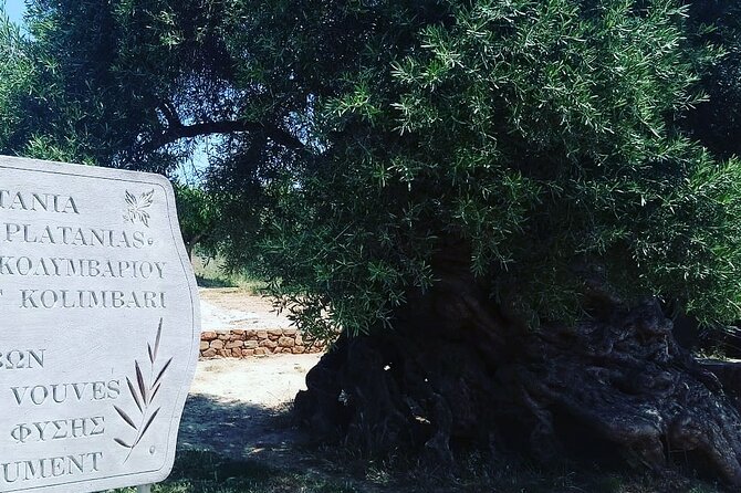 Sips of Crete: Flavors, Legends & Hidden Gems - The Cretan Brewery S.A. Stop: Your First Real Taste of Crete