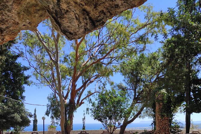 Sips of Crete: Flavors, Legends & Hidden Gems - Anoskeli Winery Olive Mill: Olive Oil and Wine That Make the Land Make Sense
