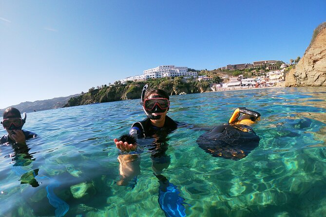 Snorkeling Tour with Sea Scooter in Heraklion - Marine life spotting in Mononaftis: what to focus on