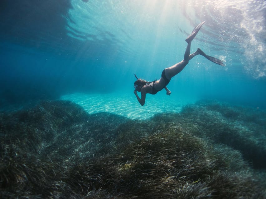 Snorkelling & Sailing In Crete’s Hidden Coastal Gems - Saint George Bay Snorkelling: When It’s Great, and When It’s Not