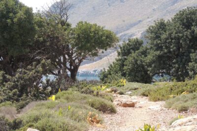 South Crete: Sarakinas Gorge Hike, Swim & Jeep Safari - Pickups across East Crete: easy start, real timing rules