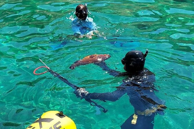 Spearfishing in Chania, Crete (price is per group) - Key Highlights at a Glance