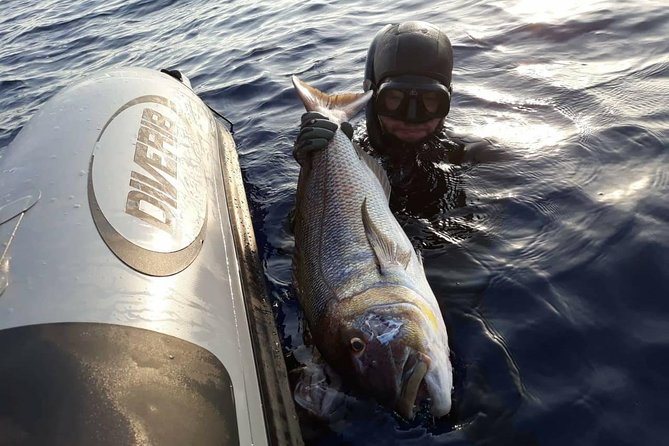 Spearfishing in Chania, Crete (price is per group) - Boat Tasting: A Nice Bonus Between the Water Moments