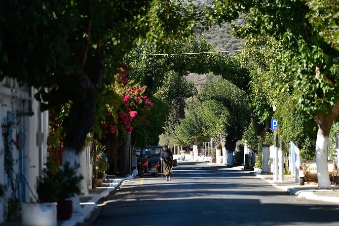 Traditional Villages of Kritsa and Kroustas - Stop 2: Archaia Poli Tis Lato, the Doric city-state moment