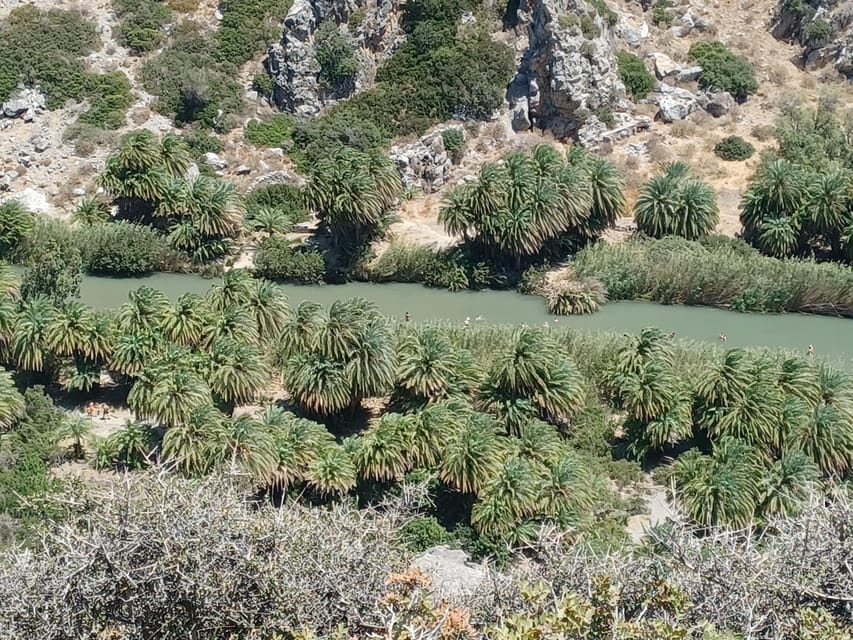 Trip to Kourtaliotiko Gorge and Preveli Beach - FAQ
