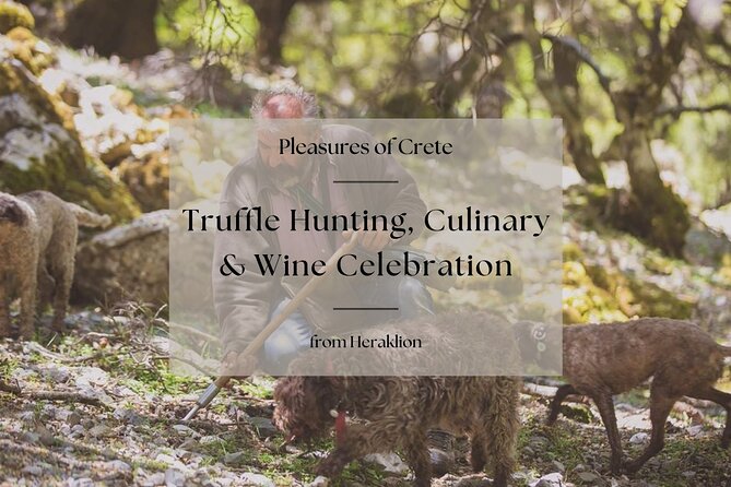 Truffle Hunting, Culinary & Wine Celebration from Heraklion - Key highlights worth planning around