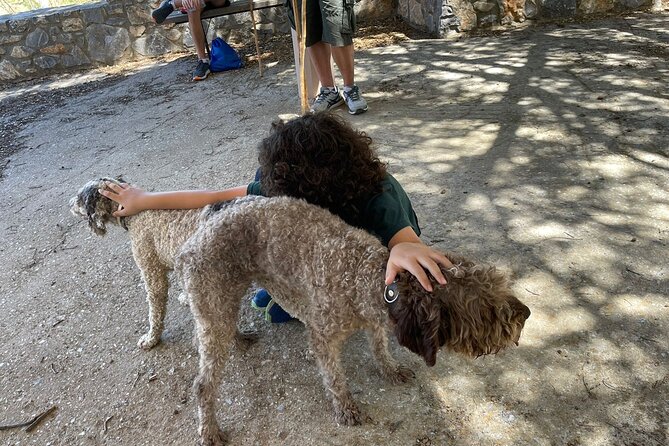 Truffle Hunting, Culinary & Wine Celebration from Heraklion - From Heraklion: the luxury pacing that makes the day work