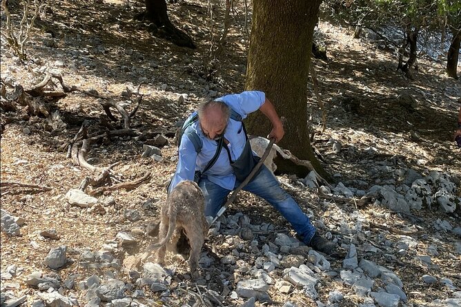 Truffle Hunting, Culinary & Wine Celebration from Heraklion - Lassithi Plateau truffle hunt from the 1882 mansion