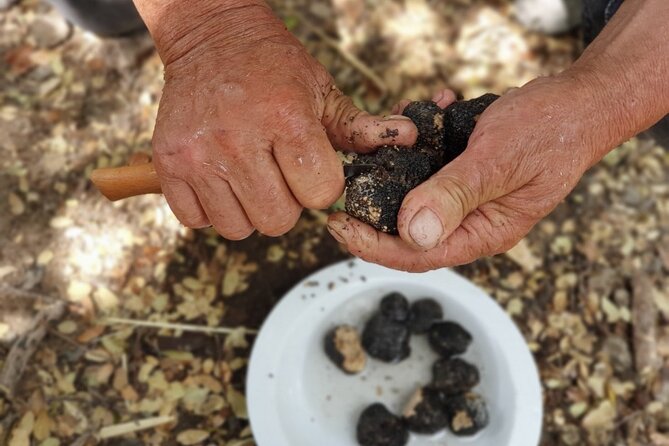 Truffle Hunting, Culinary & Wine Celebration from Heraklion - Cooking demonstration and wine celebration tied to fresh truffles