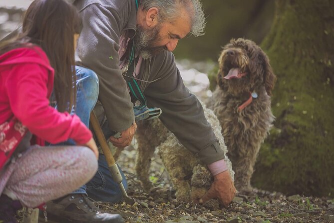 Truffle Hunting, Culinary & Wine Celebration from Heraklion - What’s included (and what to budget for) so you don’t get surprised