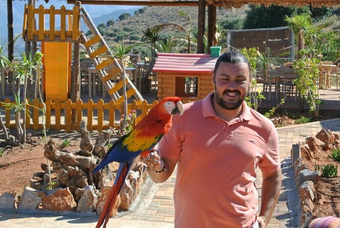 Unknown East - Agios Nikolaos Kritsa and Amazonas Park - The drive east: monasteries, gorges, and why you’ll want good timing