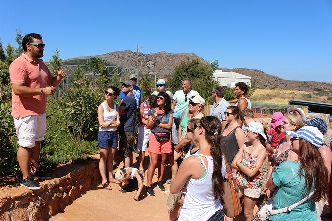 Unknown East - Agios Nikolaos Kritsa and Amazonas Park - Price and logistics: where the value really comes from