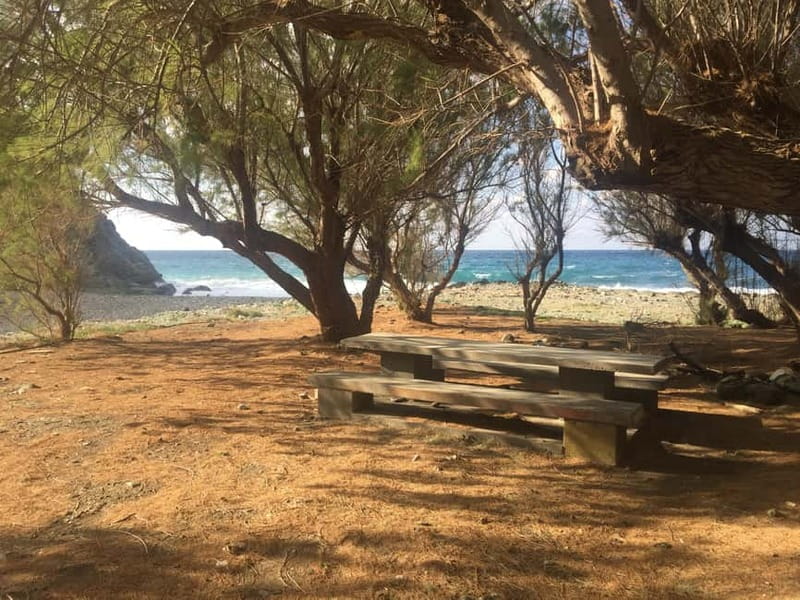 VIP Full-Day Private Tour (See the best with Professionals) - A realistic breakdown of the day: sights, coast, lagoons, and viewpoints