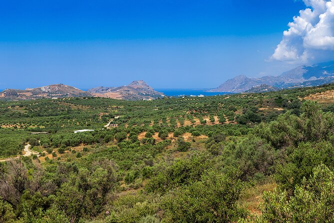 Wine, Beer, Olive Oil Tasting Private Tour (price per group of 6) - Maleme for WWII history and memorials (optional)