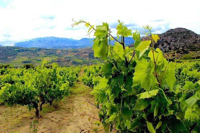 Wine olive and Food of Crete, Heraklion - Where the Tour Starts (And How to Set Yourself Up)