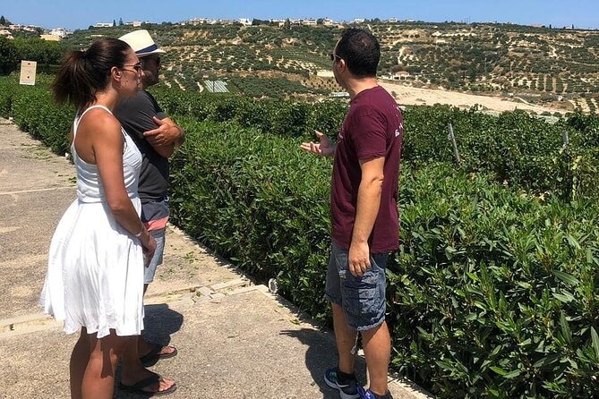Wine olive and Food of Crete, Heraklion - Winery Visit Outside Town: Wine and Olive Flavor Basics