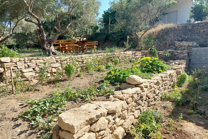 Wine Tasting: Meet the Cretan Vineyard at West Chania - Small Group Magic: Max 10 People, More Conversation