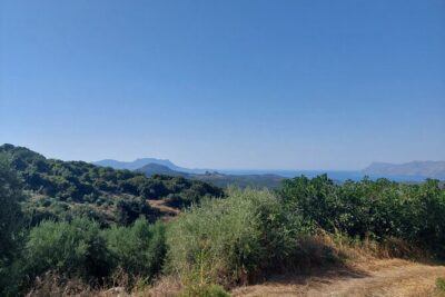 Wine Tasting: Meet the Cretan Vineyard at West Chania - Pairing Real Crete: Cheese, Pies, Honey, Olive Oil