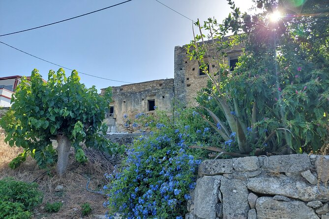 Wine Tasting: Meet the Cretan Vineyard at West Chania - Price and Value: Why $60.01 Can Make Sense Here