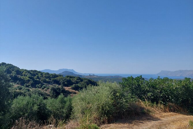 Wine Tasting: Meet the Cretan Vineyard at West Chania - Pairing Real Crete: Cheese, Pies, Honey, Olive Oil