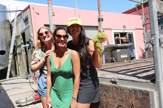 "YAMAS" - Winery tour &wine tasting - The food pairing: Cretan rusks and the palate reset