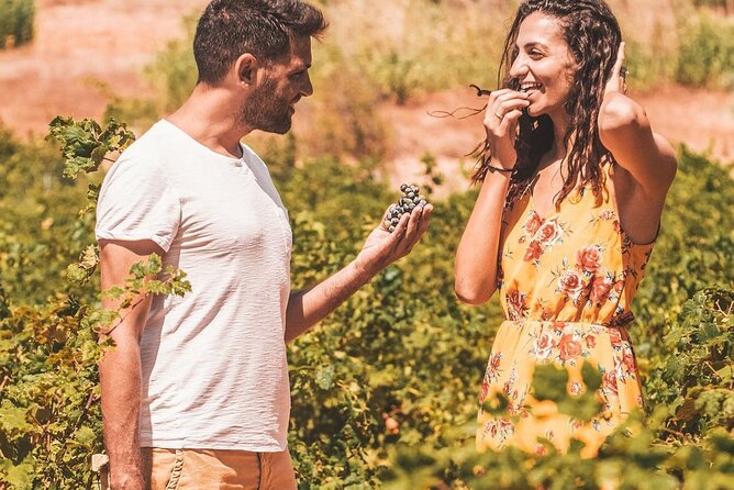 Your Private Driver & Chauffeur Service in Crete from Heraklion - Tickets, skip-the-line help, and what you pay separately